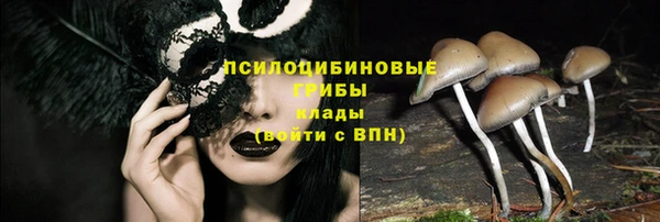 соль ск Нея