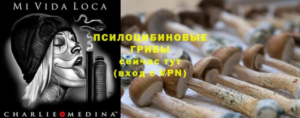соль ск Нея
