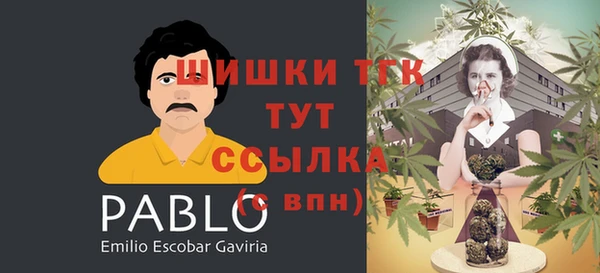 стафф Новокубанск