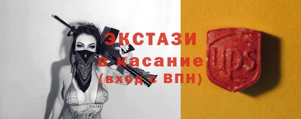 ешки Новодвинск