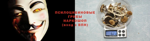 стафф Новокубанск