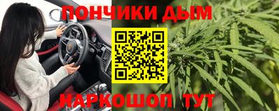 дмт Дубна