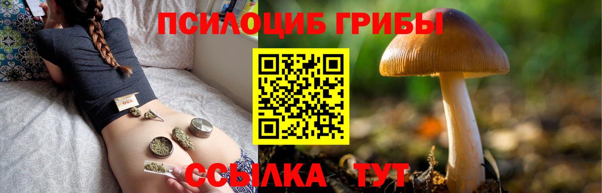 Полевской  сколько стоит  Вход с VPN  Псилоцибиновые грибы Psilocybe 